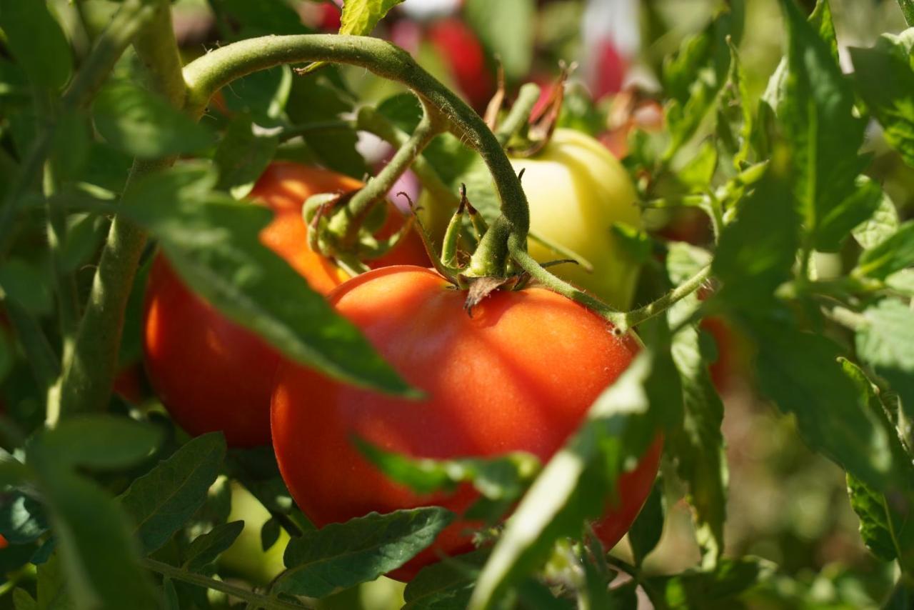 Appartamento Quinta Do Areal Lousã Esterno foto