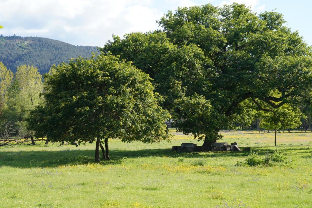 Appartamento Quinta Do Areal Lousã Esterno foto
