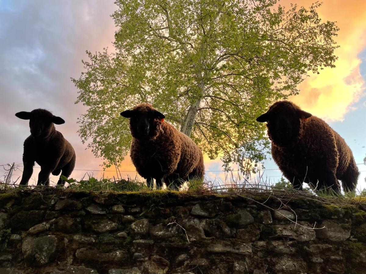 Appartamento Quinta Do Areal Lousã Esterno foto