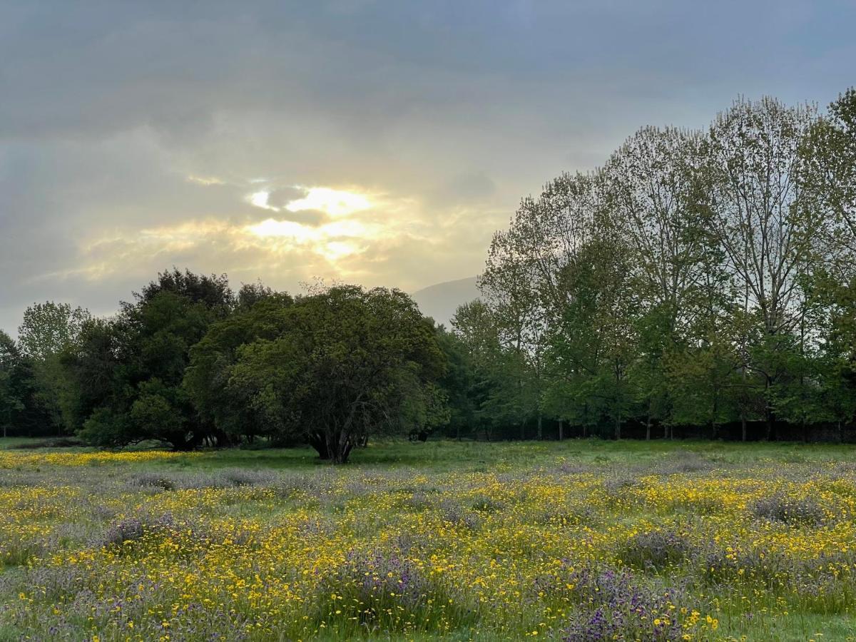 Appartamento Quinta Do Areal Lousã Esterno foto