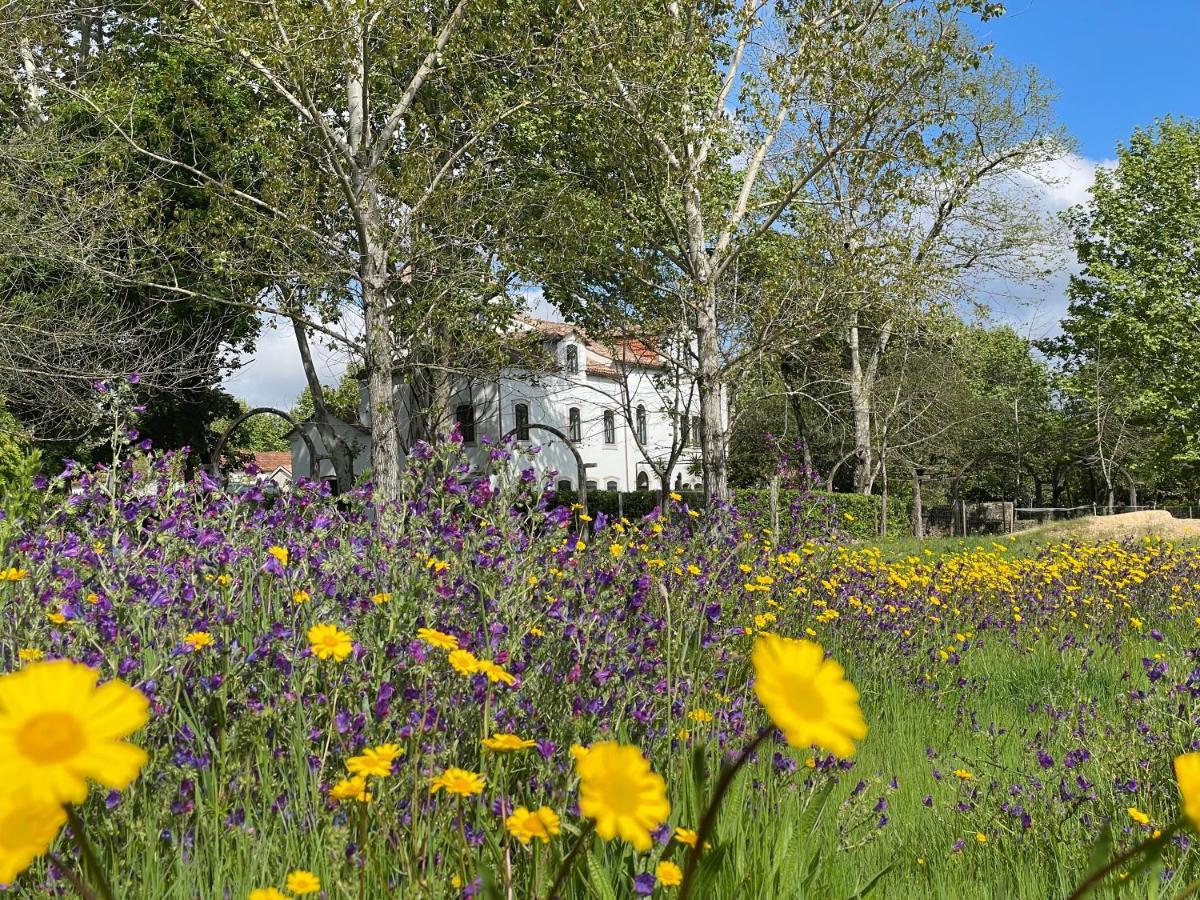 Appartamento Quinta Do Areal Lousã Esterno foto