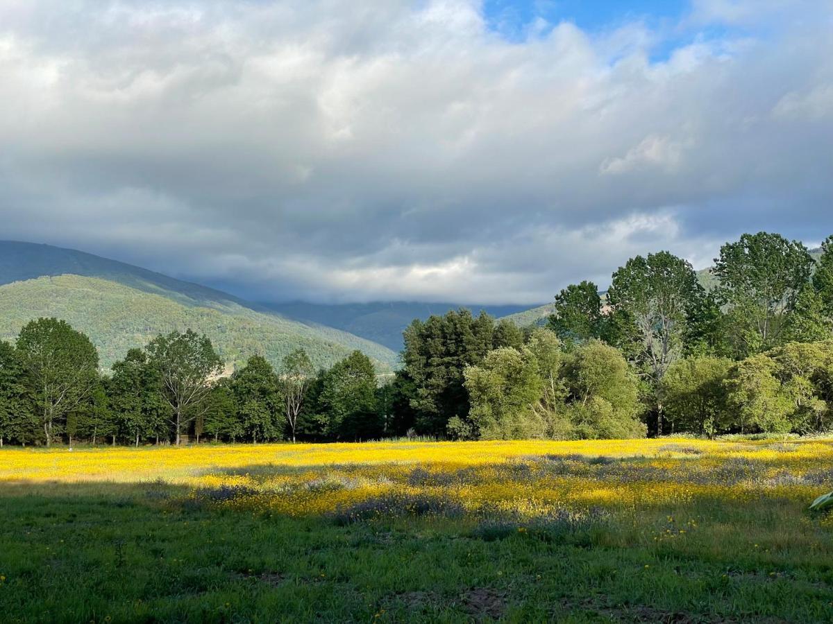 Appartamento Quinta Do Areal Lousã Esterno foto